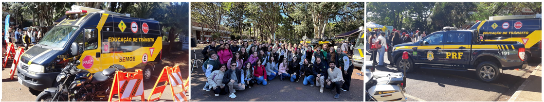 Maio Amarelo (1).png